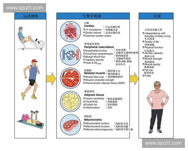 运动损伤预防与康复策略探讨 如何科学应对运动中常见的伤害问题